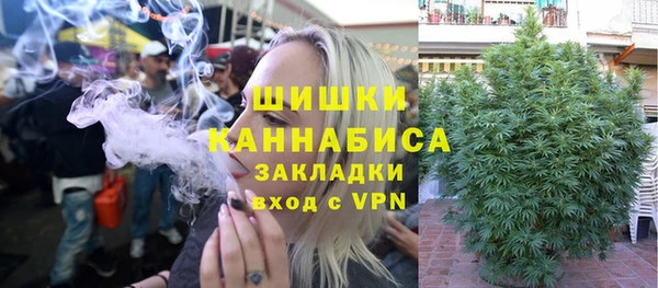 PSILOCYBIN Ладушкин