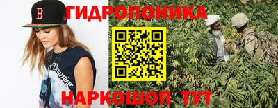 прущие крисы Берёзовский