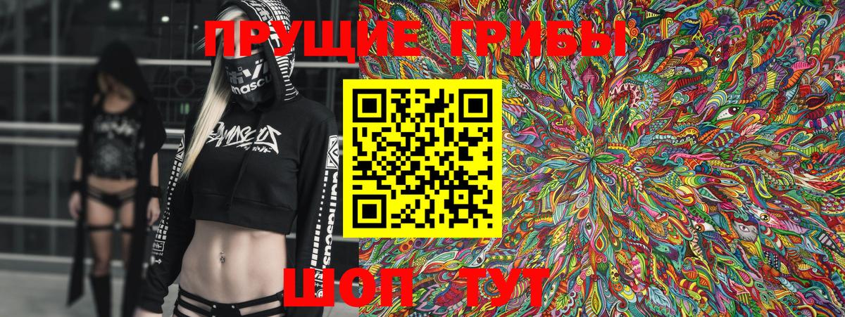 Галлюциногенные грибы Cubensis  Вход с VPN  Вичуга  Псилоцибиновые грибы Cubensis 