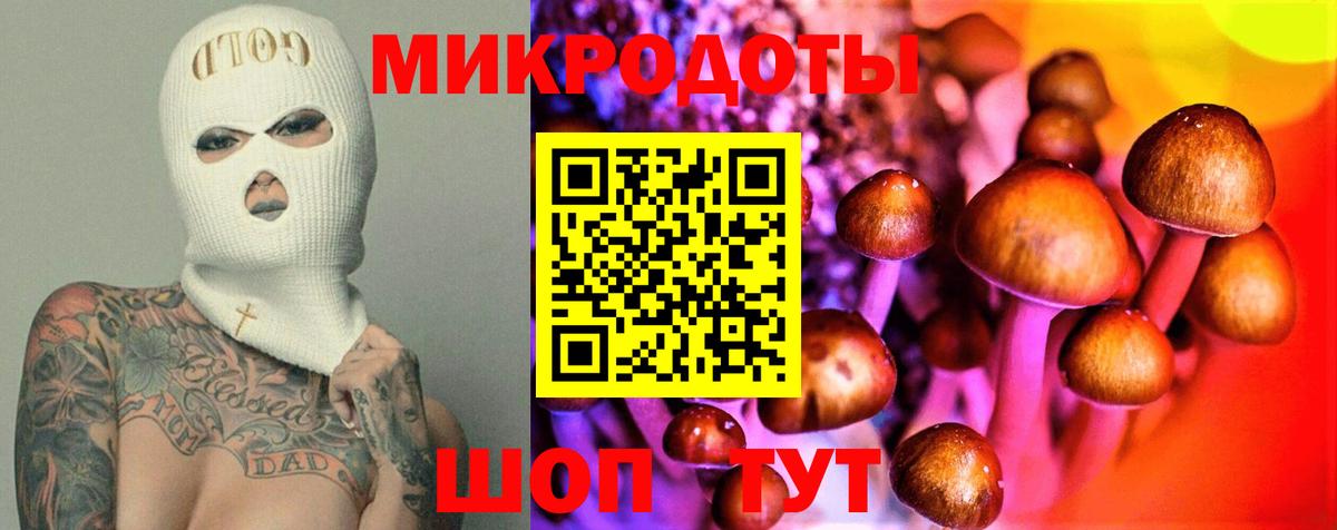 Галлюциногенные грибы MAGIC MUSHROOMS Вичуга